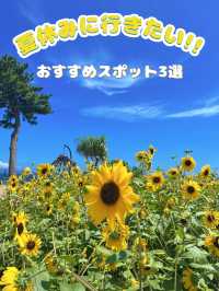【静岡】夏休みに行きたいおすすめスポット3選