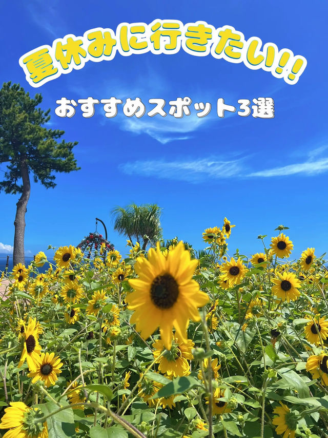 【静岡】夏休みに行きたいおすすめスポット3選