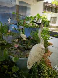Summer’s Gentleness Lies Within the Lotus Petals