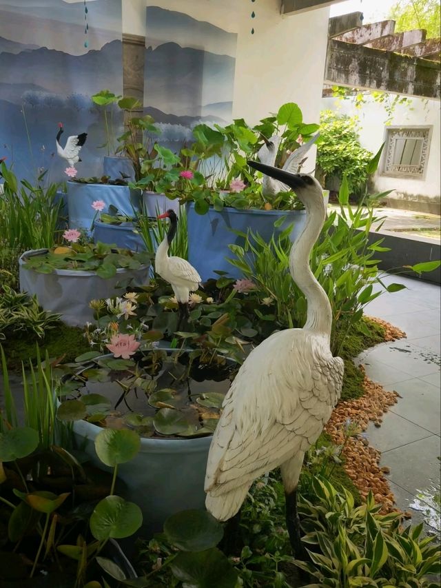 Summer’s Gentleness Lies Within the Lotus Petals