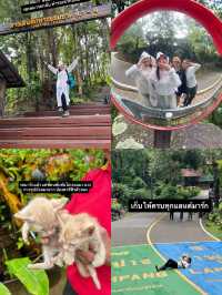 🚞นั่งรถไฟไปขุนตาล🌳