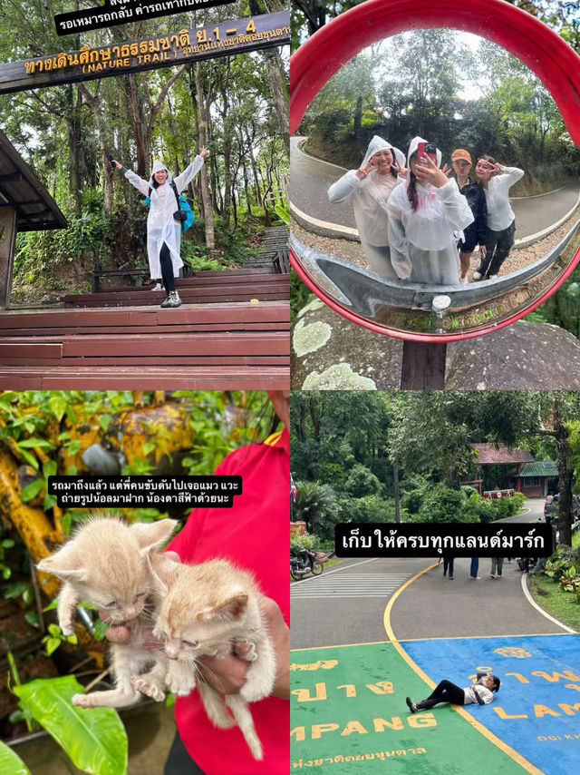 🚞นั่งรถไฟไปขุนตาล🌳