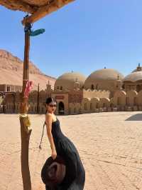 Not Egypt, but is in Turpan China 🇨🇳✨