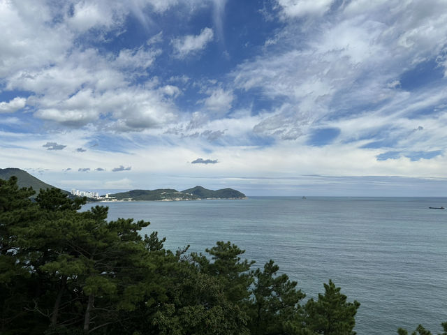韓國釜山慵懶風😎行程