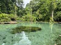“ป่าต้นน้ำบ้านน้ำราด – พักผ่อนท่ามกลางธรรมชาติ