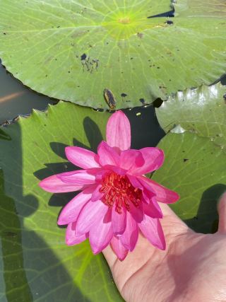 Lake Sebu: Where Culture Meets Nature