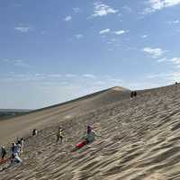 A Desert Park Like No Other 