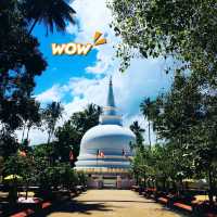๐ฟ Discover the Charm of De Badulla, Sri Lanka!