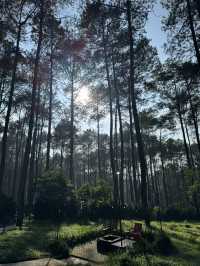 Bobocabin Cikole Experience 🔥