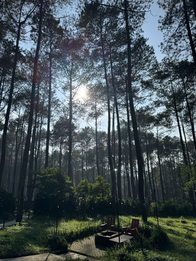 Bobocabin Cikole Experience 🔥