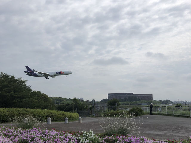 成田空港の飛行機が近い空の駅✈️