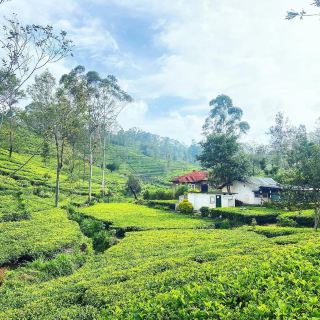 迷人的哈普塔勒之旅