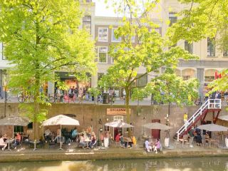 🍺Munich Hirschgarten: A superb beer garden surrounded by greenery🌳