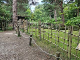 แทตตันพาร์ค