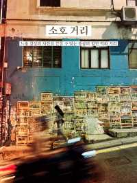 홍콩 감성 포토스팟 BEST 5 총정리📸