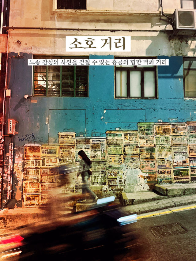 홍콩 감성 포토스팟 BEST 5 총정리📸
