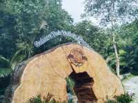 Gaharu Tea Valley – The Fragrant Forest Escape ✨🌿