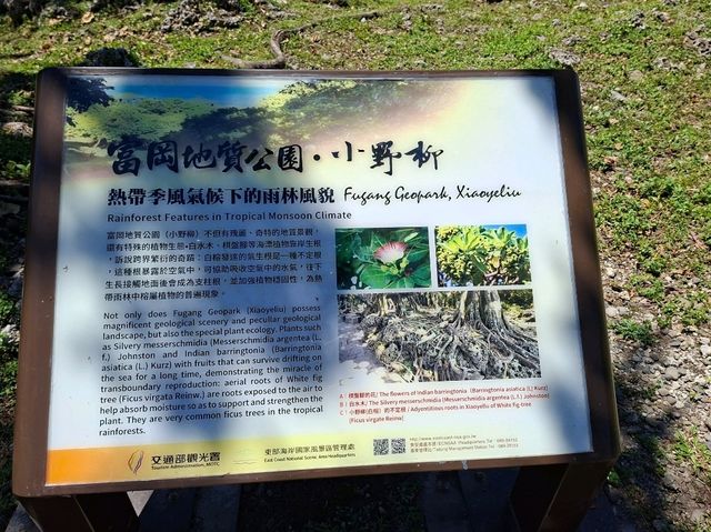 富岡地質公園