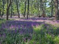 The day is nice for a stroll at Daewangam at Ulsan