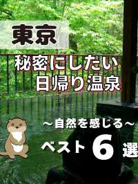 【東京】秘密にしたい日帰り温泉♨️6選📸
