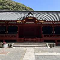 The Soul of Kamakura: A Solo Visit to Tsurugaoka Hachimangu Shrine ⛩️