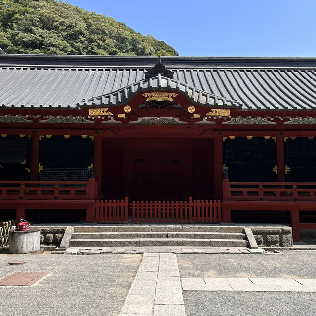 The Soul of Kamakura: A Solo Visit to Tsurugaoka Hachimangu Shrine ⛩️