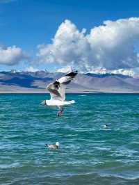 Trekking to the Heavens: Discovering Namtso Lake