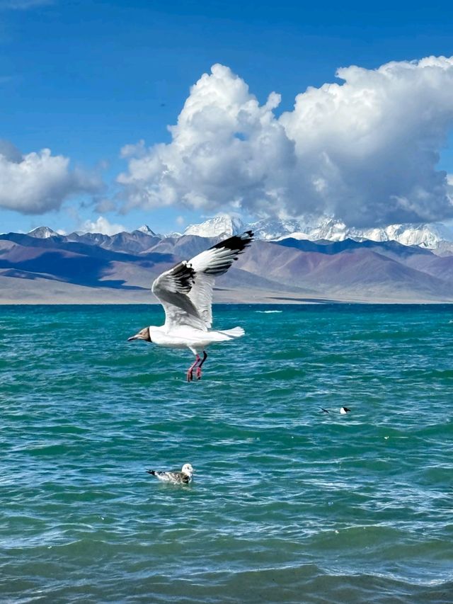 Trekking to the Heavens: Discovering Namtso Lake
