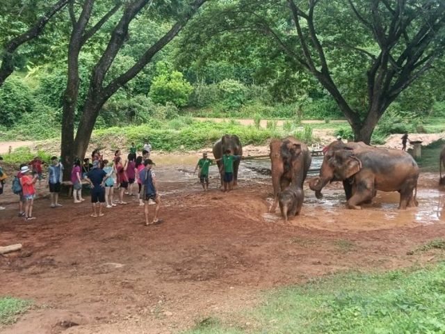 Kerchor elephant eco park