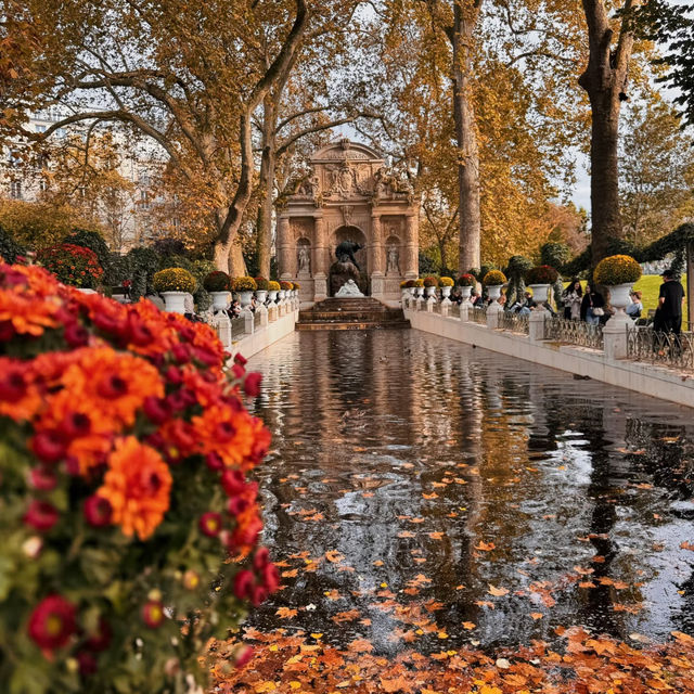 🍁 Autumn in Paris | Gentle Moments at Jardin du Luxembourg