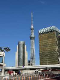 Tradition to Tokyo Views: A Day Around the City 🗼🇯🇵