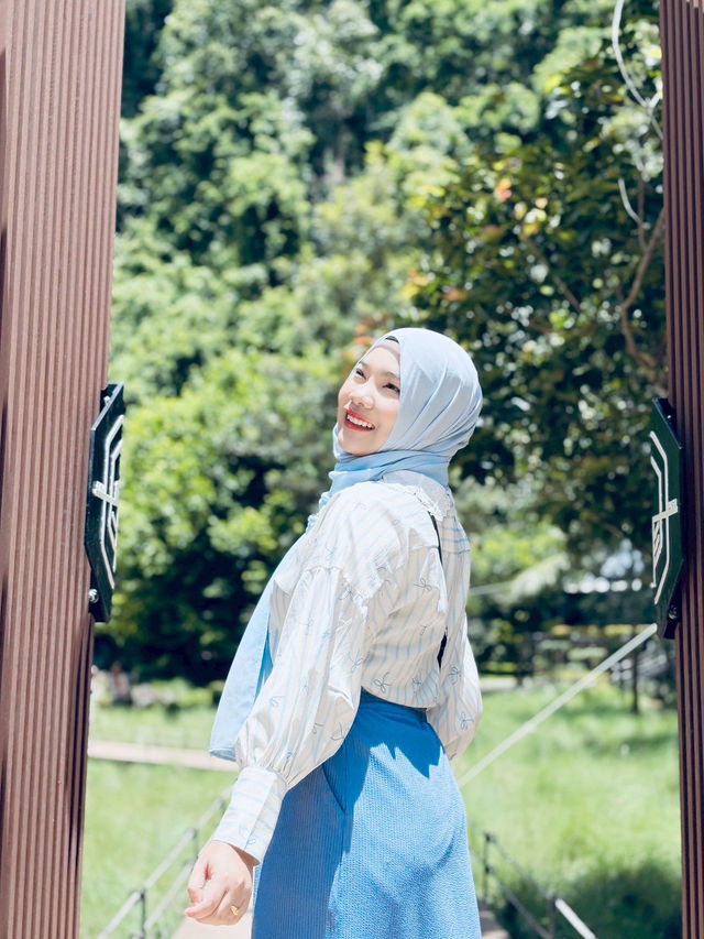 Into the Forest Cafe — กระบี่ 🍵