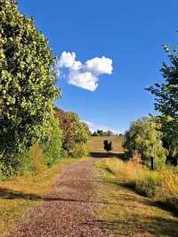 Parc de la Cité – A Green Haven in Longueuil