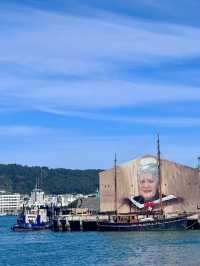 🌊 Wellington: New Zealand’s Creative Capital