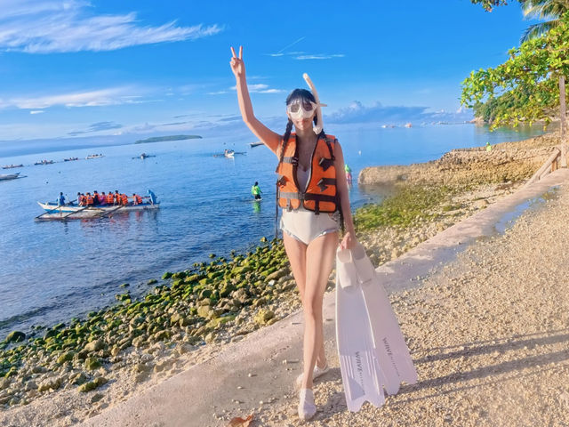 Swimming with Whale Sharks in Oslob, Cebu 🐋❤️