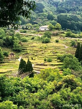 [Kumamoto Prefecture] Visit the sacred sites of the anime "Natsume's Book of Friends" in Hitoyoshi City, the inspiration for the series