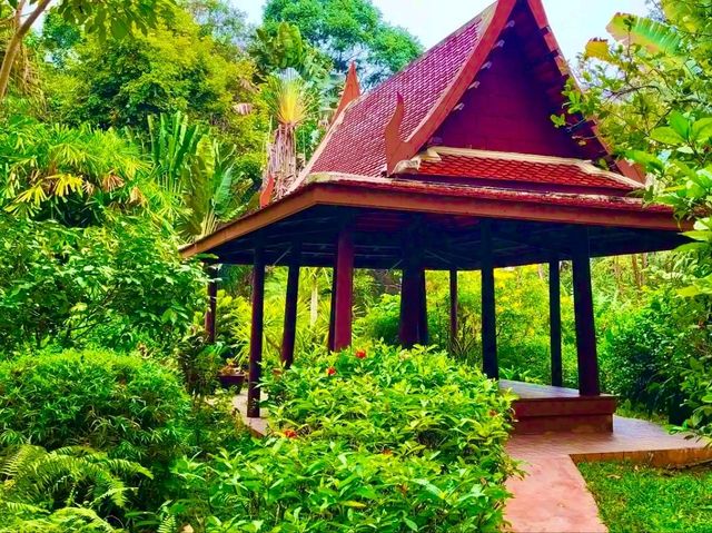 索巴植物園與泰屋博物館：走進自然與文化的綠色秘境