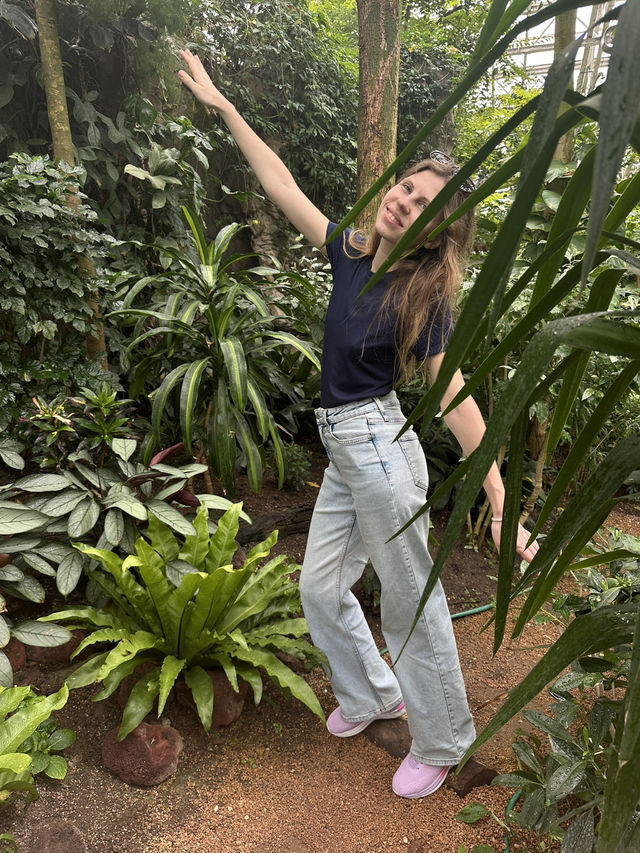 Shanghai Botanical Garden