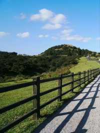 🌳 : Qingtiangang Grassland เที่ยวไต้หวัน