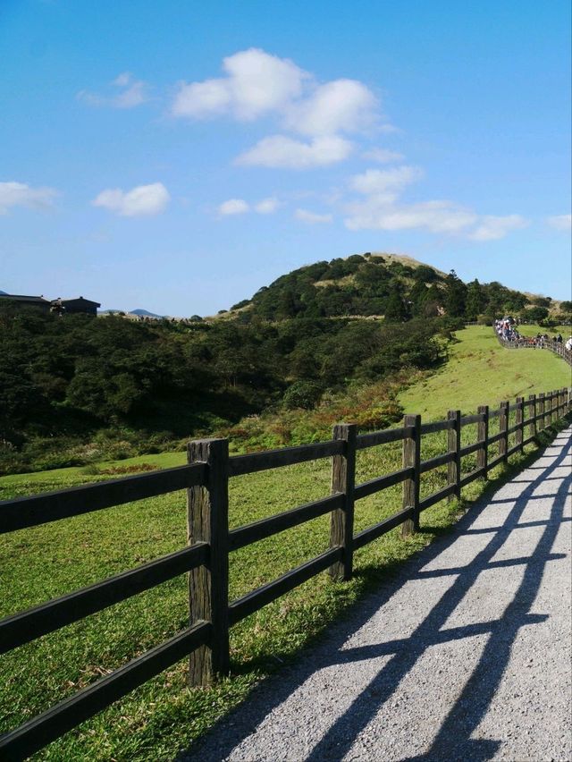 🌳 : Qingtiangang Grassland เที่ยวไต้หวัน 🌳 : Qingtiangang Grassland เที่ยวไต้หวัน