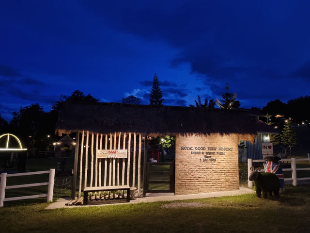 🦙 Alpaca Hill Suan Phueng: A Fluffy Wonderland 🦙 Alpaca Hill Suan Phueng: A Fluffy Wonderland