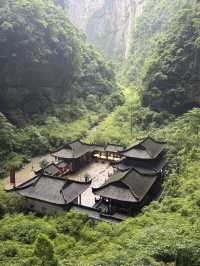 Wulong’s Misty Magic🌫️