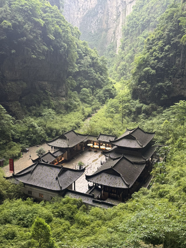 Wulong’s Misty Magic🌫️