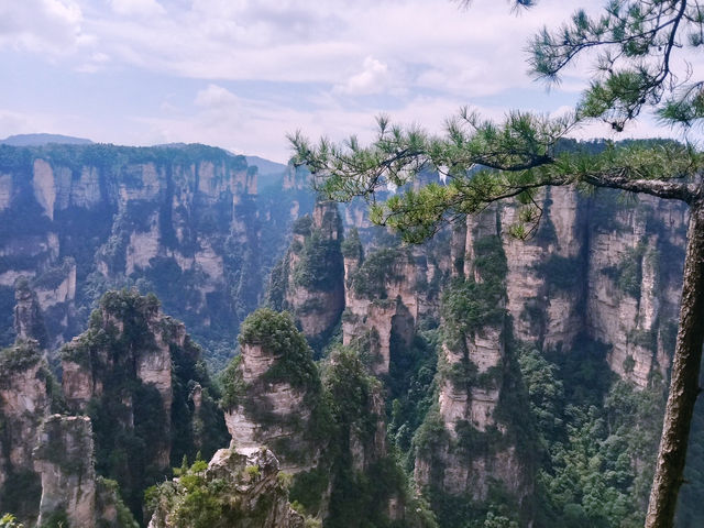 My Sky-High Stroll Through Yuanjiajie