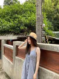 ✨🌿 แม่กำปอง หมู่บ้านเล็กในหุบเขาที่น่าหลงรัก
