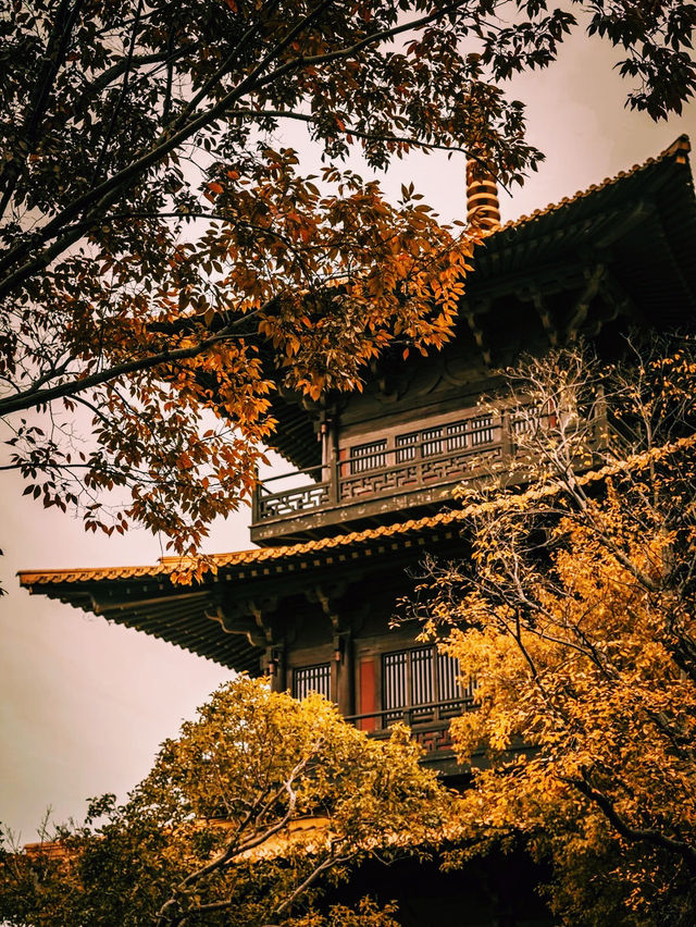 廣富林文化遺址🇨🇳