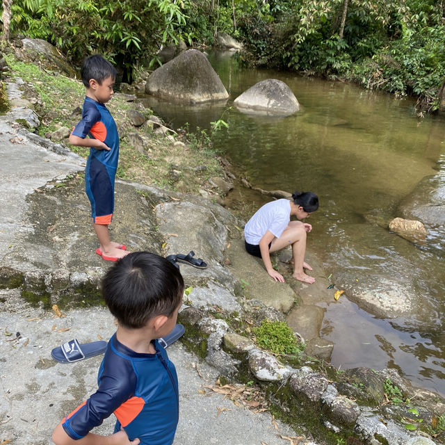 Taiping Bamboo Resort, Perak 🇲🇾 Taiping Bamboo Resort, Perak 🇲🇾