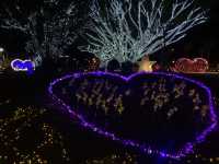 點亮希望光，百花盛放夜景  