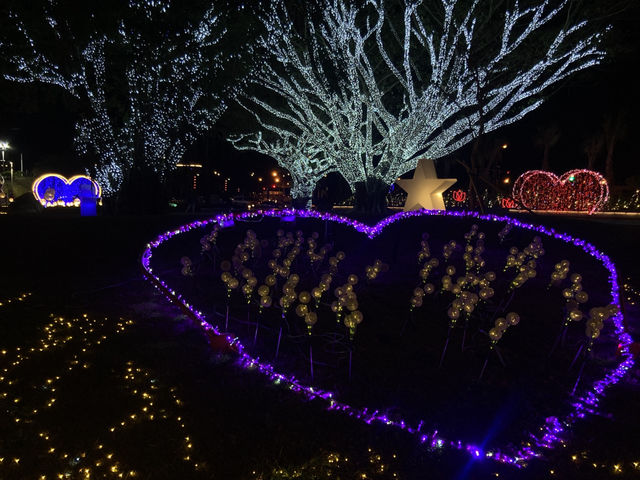點亮希望光，百花盛放夜景  