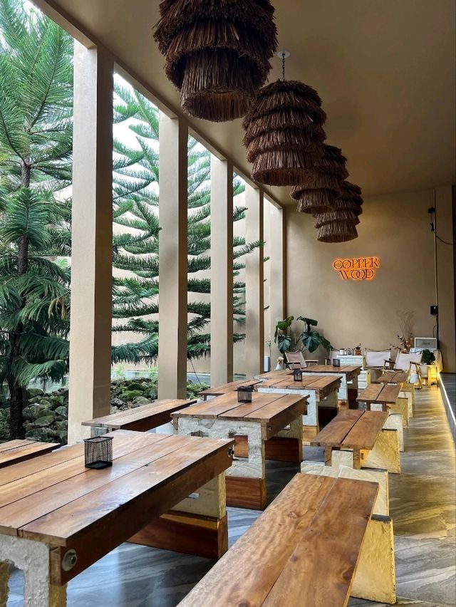 ☕Copper wood 🌲 ☕Copper wood 🌲